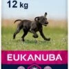 Eukanuba Dog Puppy & Junior - Grote Rassen - Kip - Droogvoer - 12 Kg