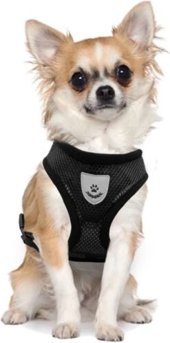 Ease Store Kattentuigje – Maat S – Met Looplijn – Kittentuigje – Dierentuigje – Hondentuigje – Reflecterend – Zwart -Dieren Product Winkel 597x1200 2