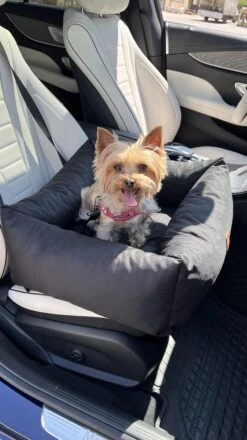 Julian Car Seat Size: S, Color: Black, Material: Codura -Dieren Product Winkel 674x1200 5