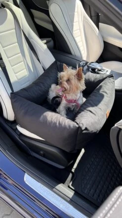 Julian Car Seat Size: S, Color: Black, Material: Codura -Dieren Product Winkel 674x1200 6