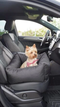 Julian Car Seat Size: S, Color: Black, Material: Codura -Dieren Product Winkel 675x1200 3