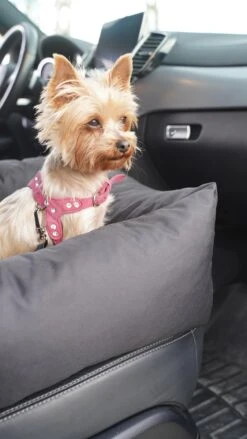 Julian Car Seat Size: S, Color: Black, Material: Codura -Dieren Product Winkel 675x1200 7