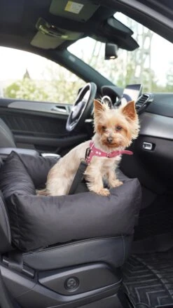 Julian Car Seat Size: S, Color: Black, Material: Codura -Dieren Product Winkel 675x1200 9