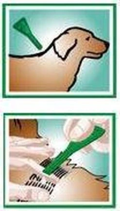 Frontline Hond Spot-On Small - 6 Pipetten -Dieren Product Winkel 681x1200 3