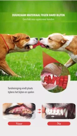 3-in-1 Hondenkauwbot - Gebitsverzorging - IQ Training - Voedsel Afgifte Functie - Geometrisch Ontwerp - Duurzaam & Milieuvriendelijk - Kauwbot - Honden - Hondenbot - Rood -Dieren Product Winkel 684x1200 1