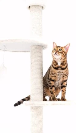 Petrebels Anna 240 Krabpaal - Creme - 240 Tot 265 Cm - Met Plafondspanner -Dieren Product Winkel 686x1200 2