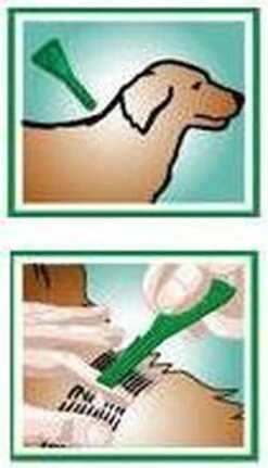 Bayer Bolfo Gold 400 Anti Vlooienmiddel - Hond - >25 Kg - 4 Pipetten -Dieren Product Winkel 688x1200 2