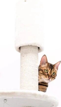 Petrebels Anna 240 Krabpaal - Creme - 240 Tot 265 Cm - Met Plafondspanner -Dieren Product Winkel 690x1200