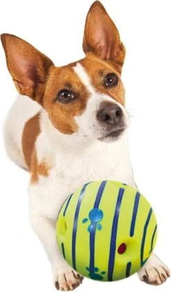 Wobble Wag Giggle Bal+ Honden Touw (30cm)- Honden Bal - Honden Speeltjes - Honden Speelgoed Intelligentie 7 Wobble Wag Giggle Bal+ Honden Touw (30cm)- Honden Bal - Honden Speeltjes - Honden Speelgoed Intelligentie -Dieren Product Winkel 705x1200 4