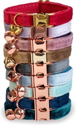 ACE Pets Kattenhalsband Met Belletje – Halsband Kat & Kitten - Kittenhalsband & Kattenbandje - Kattenbelletje - Pluche Velvet - Groen -Dieren Product Winkel 731x1200 1