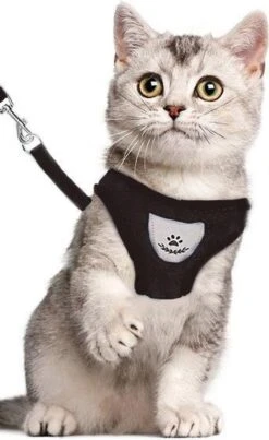 Luxyana® Hondentuigje - S - 28-32cm - Geschikt Voor Kleine Honden En Als Kattenharnas - Easy Step-in Hondentuigje Voor De Kleine Hond Of Kat - Inclusief Bijpassend Riempje - Zwart -Dieren Product Winkel 735x1200 4