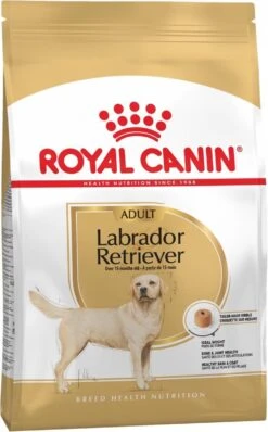 Royal Canin Labrador Retriever Adult 12 KG 29 Royal Canin Labrador Retriever Adult 12 KG -Dieren Product Winkel 744x1200 2