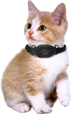 Reptrek® Minitrek GPS Tracker Voor Hond En Kat - Blauw - 4.9 X 3.3 X 1.5 Cm -Dieren Product Winkel 747x1200 5