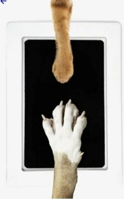 PrintMe - Paw Print Pad - Groter Formaat - Pootafdruk Maken Van Hond Of Kat - Zeer Gemakkelijk - Verbeterd Formaat! - Geen Inkt Op De Poot Van Uw Huisdier- Groot - Leuk Als Cadeau!