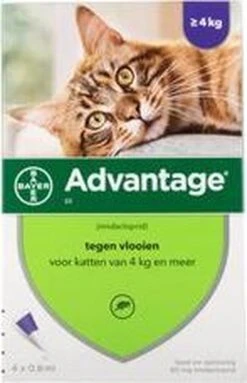 Advantage 80 Vlooiendruppelsl Kat Vanaf 4 Kg - 4 Pipetten -Dieren Product Winkel 773x1200