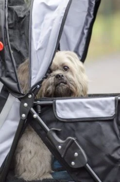 InnoPet All Terrain - Hondenbuggy - Zwart/Zilver - 85x52x96cm 23 InnoPet All Terrain - Hondenbuggy - Zwart/Zilver - 85x52x96cm -Dieren Product Winkel 794x1200 6