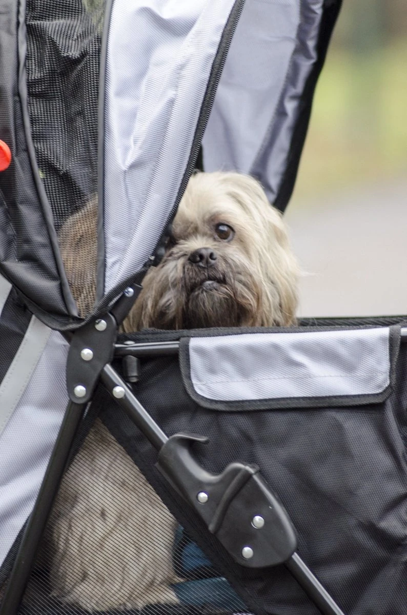 InnoPet All Terrain - Hondenbuggy - Zwart/Zilver - 85x52x96cm 10 InnoPet All Terrain - Hondenbuggy - Zwart/Zilver - 85x52x96cm - Afbeelding 10