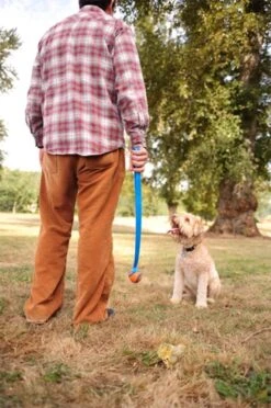 Chuckit! Ultra Ball M – Honden Speelgoed – Hondenbal– Drijft Op Water – Stuitert – Veilig Voor Gebit – Honden Bal – Ideaal Met De Ballenwerper – Ø 6cm – Oranje/Blauw – Hondenspeeltjes– 4-Pack -Dieren Product Winkel 797x1200 9