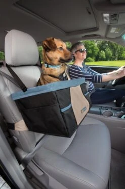 Kurgo Rover Booster Seat - Verhoogde Autostoel Met Eenvoudige Bevestiging Voor Kleine Honden Tot 13kg - Zwart/Blauw 30x40x20cm