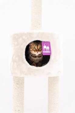 Petrebels Anna 240 Krabpaal - Creme - 240 Tot 265 Cm - Met Plafondspanner -Dieren Product Winkel 800x1200 1