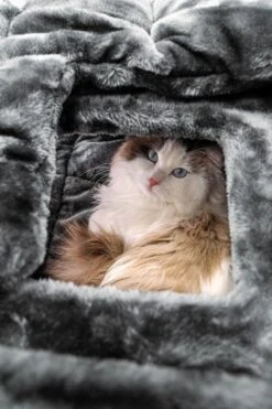 Petrebels Vault 117 Krabton XL - Pepper - 76 X 56 X 117 Cm -Dieren Product Winkel 800x1200 11