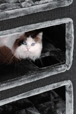 Petrebels Vault 117 Krabton XL - Pepper - 76 X 56 X 117 Cm -Dieren Product Winkel 800x1200 12