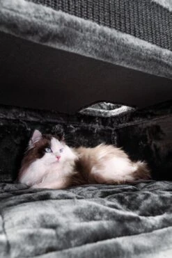 Petrebels Vault 117 Krabton XL - Pepper - 76 X 56 X 117 Cm -Dieren Product Winkel 800x1200 14