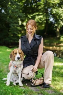 Hondenriem - Leiband Hond - Rollijn - 5 Meter - Beige - Riem Met Oprolsysteem - Hondenriem Flexi - Hondenlijn - Uitlaatriem -Dieren Product Winkel 800x1200 29