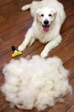 Furminator® Hond Langhaar - Vermindert Haaruitval Tot 90% - Hondenborstel - L -Dieren Product Winkel 800x1200 36
