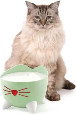 Catit Pixi Fountain - Kattendrinkbak - 20x20x16 Cm Groen -Dieren Product Winkel 800x1200 4