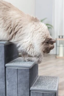 Trixie Trap Met Opbergruimte Grijs 34x50x45 Cm 20 Trixie Trap Met Opbergruimte Grijs 34x50x45 Cm -Dieren Product Winkel 800x1200 44