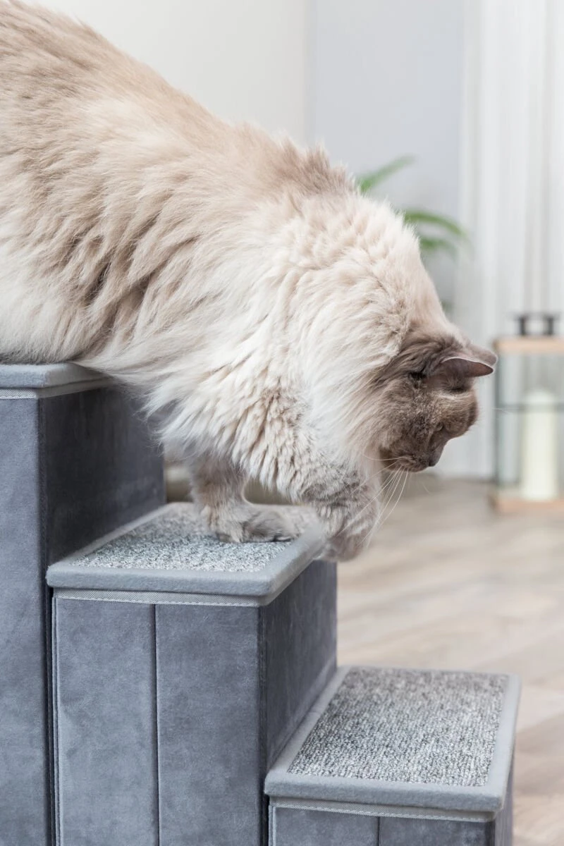 Trixie Trap Met Opbergruimte Grijs 34x50x45 Cm 7 Trixie Trap Met Opbergruimte Grijs 34x50x45 Cm - Afbeelding 7