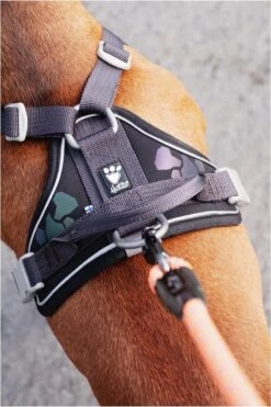 Hurtta Weekend Warrior Harness Zwart Maat - 60-80 14 Hurtta Weekend Warrior Harness Zwart Maat - 60-80 -Dieren Product Winkel 800x1200 56