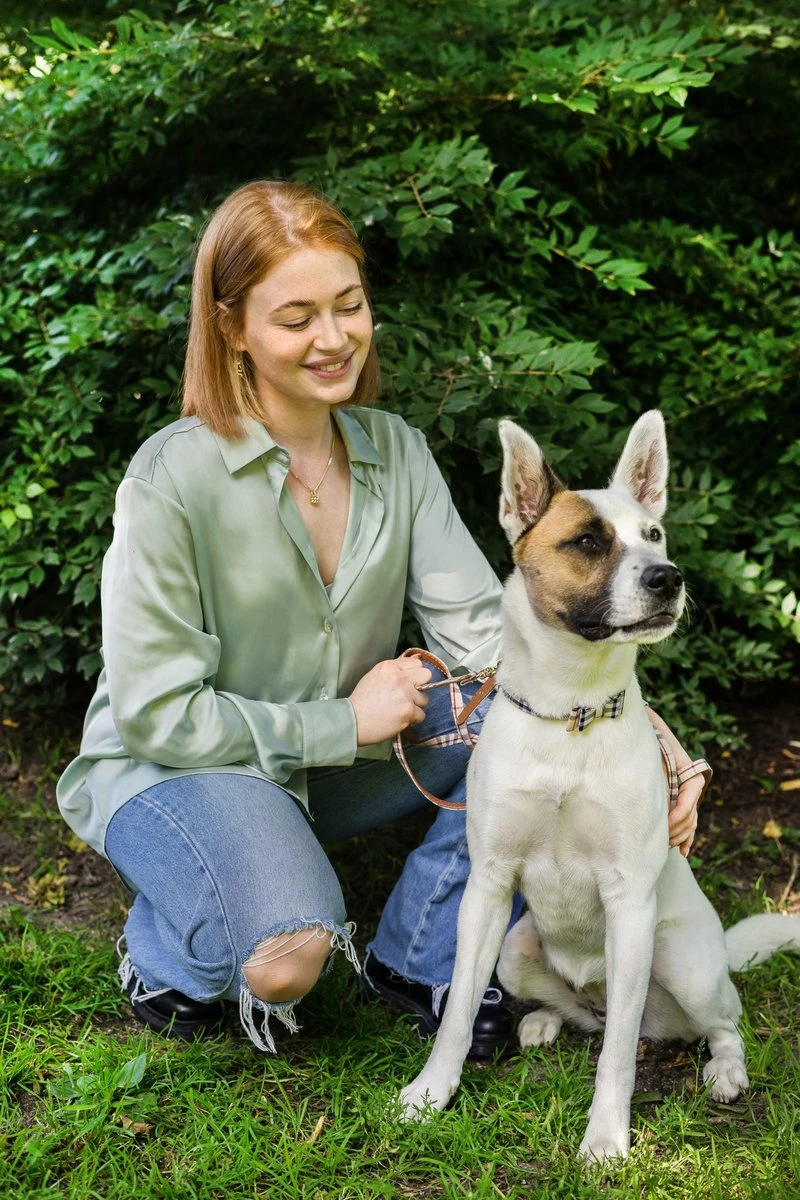 Pepets © Luxe Hondenriem Set – Halsband Hond – Bandana Hond – Strik Hond – Hondenstrik – Hondenhalsband – Leiband Hond -Beige Ruit - Maat S 9 Pepets © Luxe Hondenriem Set – Halsband Hond – Bandana Hond – Strik Hond – Hondenstrik – Hondenhalsband – Leiband Hond -Beige Ruit - Maat S - Afbeelding 9
