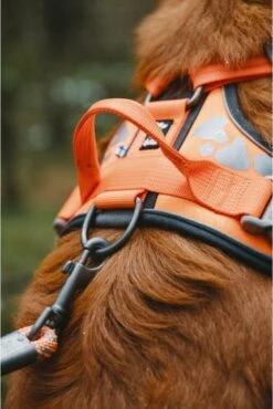 Hurtta Weekend Warrior Harness Zwart Maat - 60-80 16 Hurtta Weekend Warrior Harness Zwart Maat - 60-80 -Dieren Product Winkel 802x1200 16