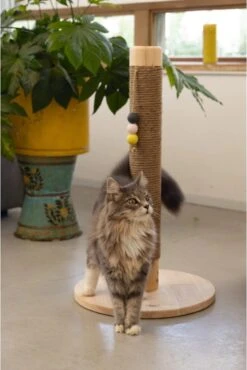 Designed By Lotte Sinora - Krabpaal - 40x40x70 Cm -Dieren Product Winkel 802x1200 4