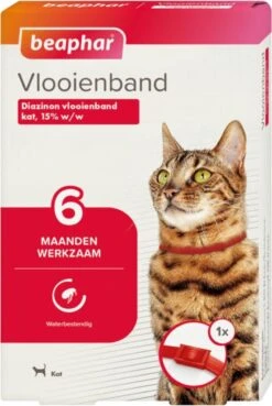 Beaphar Vlooienband Kat - Rood - 1 Stuk 16 Beaphar Vlooienband Kat - Rood - 1 Stuk -Dieren Product Winkel 804x1200