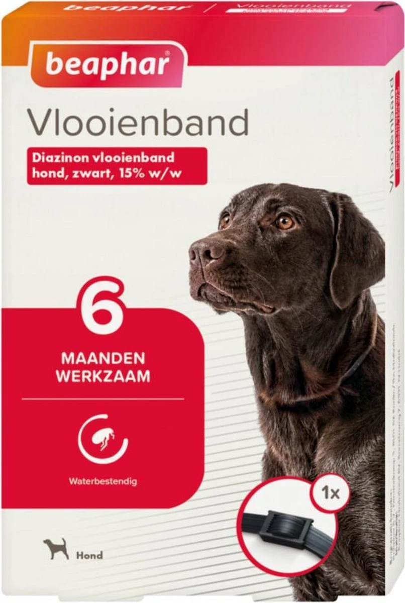 Beaphar Vlooienband Hond - Zwart - 1 Stuk 4 Beaphar Vlooienband Hond - Zwart - 1 Stuk - Afbeelding 4