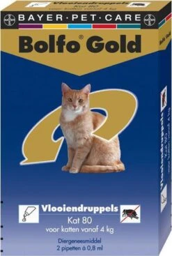 Bayer Bolfo Gold 80 Anti Vlooienmiddel - Kat - > 4 Kg - 4 Pipetten -Dieren Product Winkel 808x1200