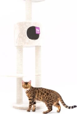 Petrebels Anna 240 Krabpaal - Creme - 240 Tot 265 Cm - Met Plafondspanner -Dieren Product Winkel 809x1200 1