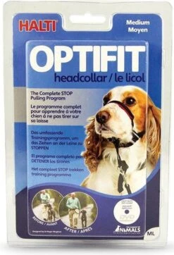 Halti OptiFit Headcollar - Hond - Anti Trekhalsband - Maat M - Voor Labrador, Boxer, Dobermann, Golden Retriever -Dieren Product Winkel 818x1200 7