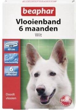 Beaphar Vlooienband Hond - Zwart - 1 Stuk 10 Beaphar Vlooienband Hond - Zwart - 1 Stuk -Dieren Product Winkel 831x1200 7