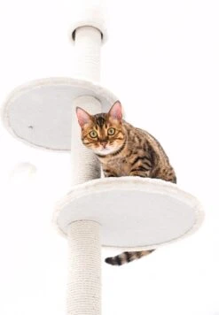 Petrebels Anna 240 Krabpaal - Creme - 240 Tot 265 Cm - Met Plafondspanner -Dieren Product Winkel 832x1200 1