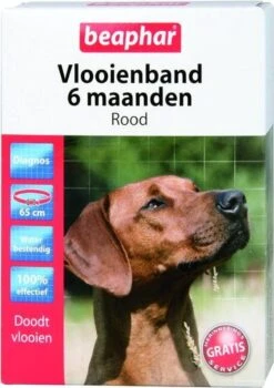 Beaphar Vlooienband Hond - Zwart - 1 Stuk 14 Beaphar Vlooienband Hond - Zwart - 1 Stuk -Dieren Product Winkel 847x1200 5