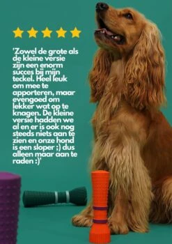 Furmey Zoomies - Honden Speelgoed - Hondenspeeltjes - Kauwbotten Hond - S Groen - 17 Cm 11 Furmey Zoomies - Honden Speelgoed - Hondenspeeltjes - Kauwbotten Hond - S Groen - 17 Cm -Dieren Product Winkel 848x1200 7