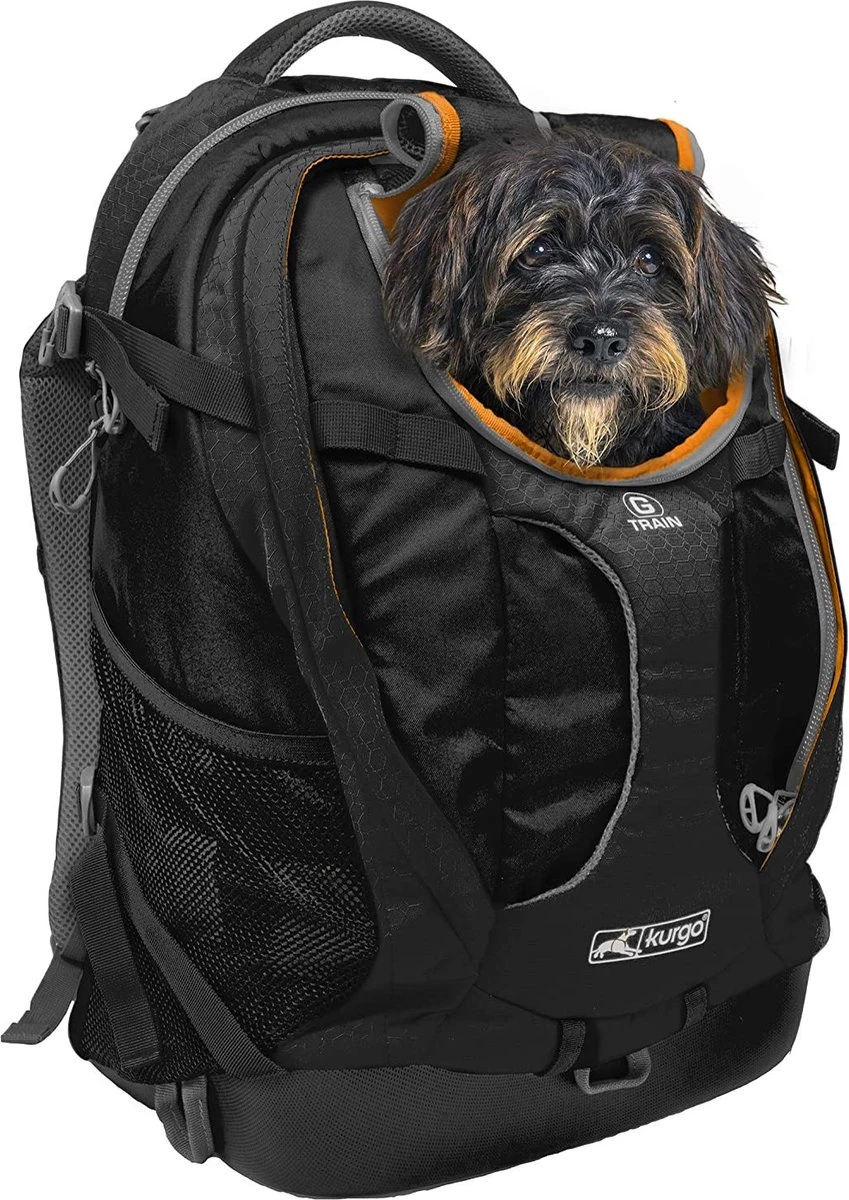 Hondenrugzak Voor Kleine Honden Met Diverse Opbergvakken - Voor Honden Tot 11 Kg - Kurgo G-train K9 - 33x53x25cm - Black 1 Hondenrugzak Voor Kleine Honden Met Diverse Opbergvakken - Voor Honden Tot 11 Kg - Kurgo G-train K9 - 33x53x25cm - Black