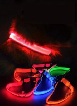 Lichtgevende Halsband LED Maat XS 28 - 38 Cm USB Oplaadbaar Hondenhalsband Puppy Riem - Roze Hond Dog Kat Kitten Cat - Dutchwide -Dieren Product Winkel 866x1200 9