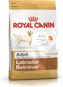 Royal Canin Labrador Retriever Adult 12 KG 32 Royal Canin Labrador Retriever Adult 12 KG -Dieren Product Winkel 873x1200 6