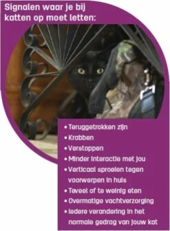 Feliway Classic - Startset - 1 Verdamper + 1 Vulling 48ml - Anti-stress Voor Kat -Dieren Product Winkel 881x1200 1
