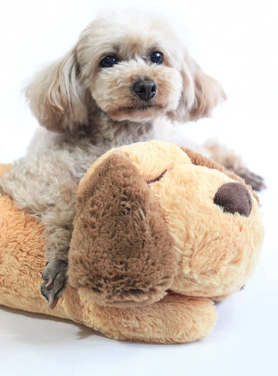 Knuffel Met Hartslag 2023 Voor Puppy's - Zacht Speelgoed - Hondenknuffel Met Hartslag - Wonderknuffel Snuggle Puppy - Knuffel Hond 7 Knuffel Met Hartslag 2023 Voor Puppy's - Zacht Speelgoed - Hondenknuffel Met Hartslag - Wonderknuffel Snuggle Puppy - Knuffel Hond - Afbeelding 7